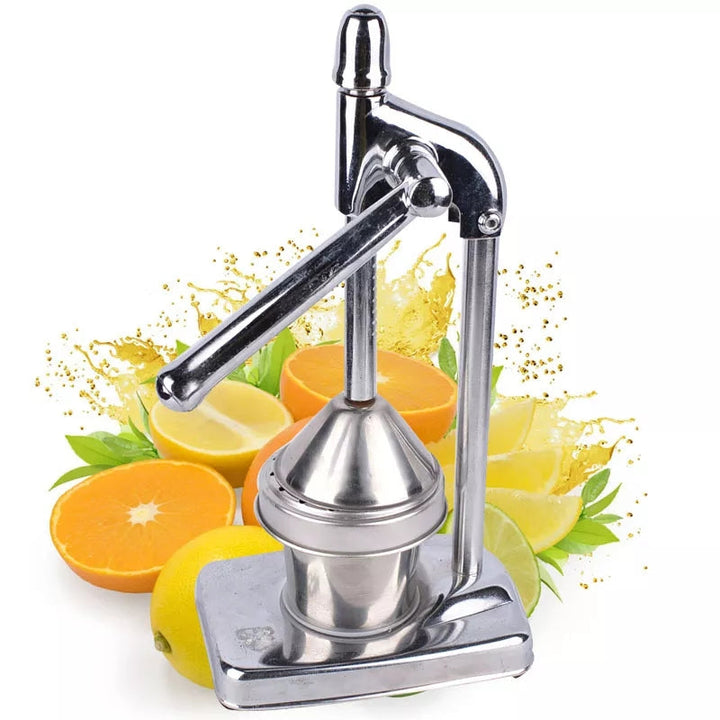 Viskana Stainless Steel Fruit Juicer