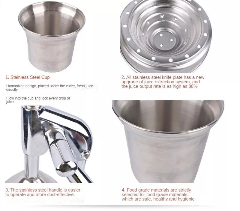 Viskana Stainless Steel Fruit Juicer