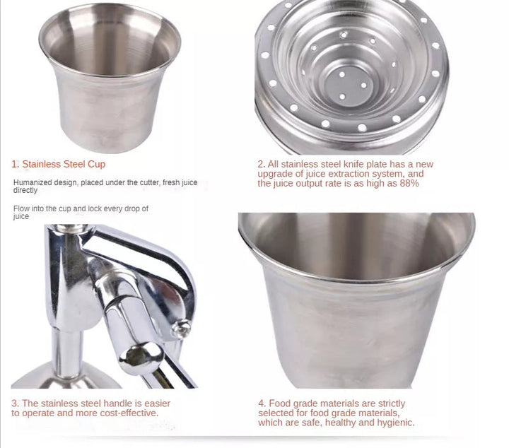 Viskana Stainless Steel Fruit Juicer