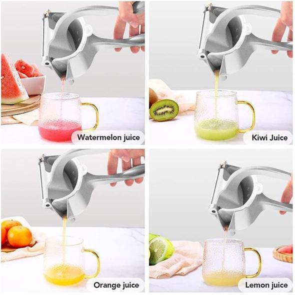 Viskana Juicer in stainless steel Summer