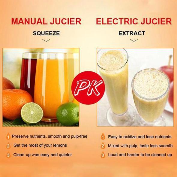 Viskana Juicer in stainless steel Summer