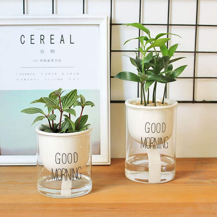 Viskana Self-watering Hydro-Flower Pot