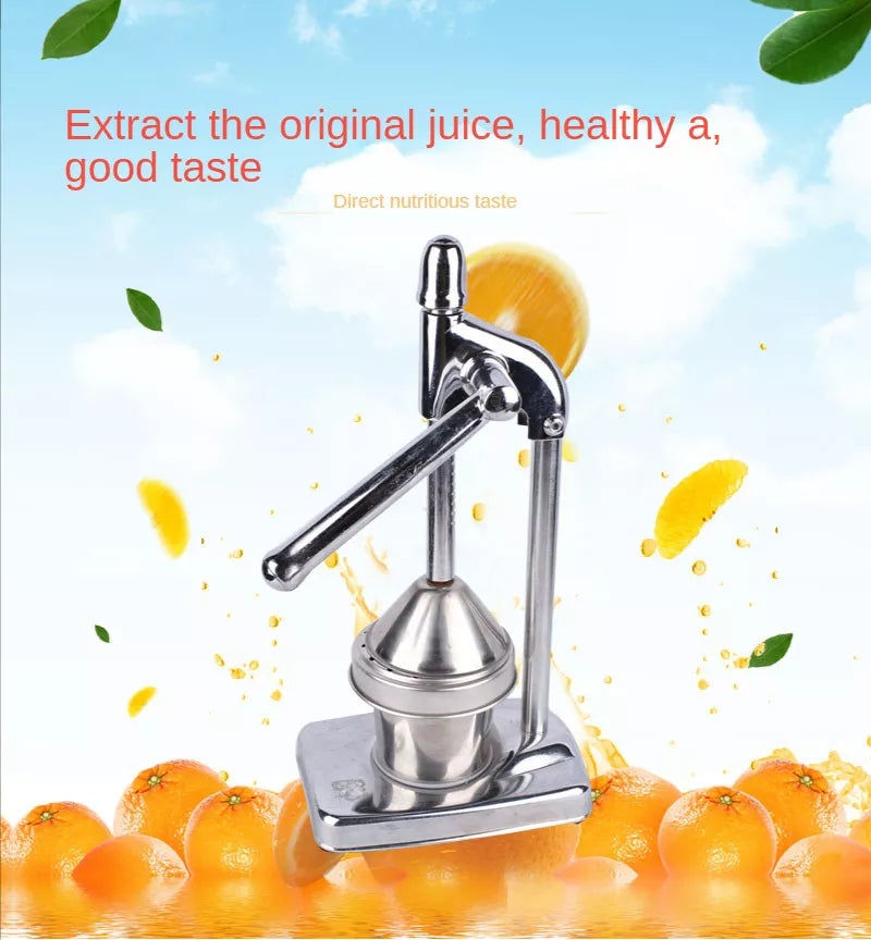 Viskana Stainless Steel Fruit Juicer
