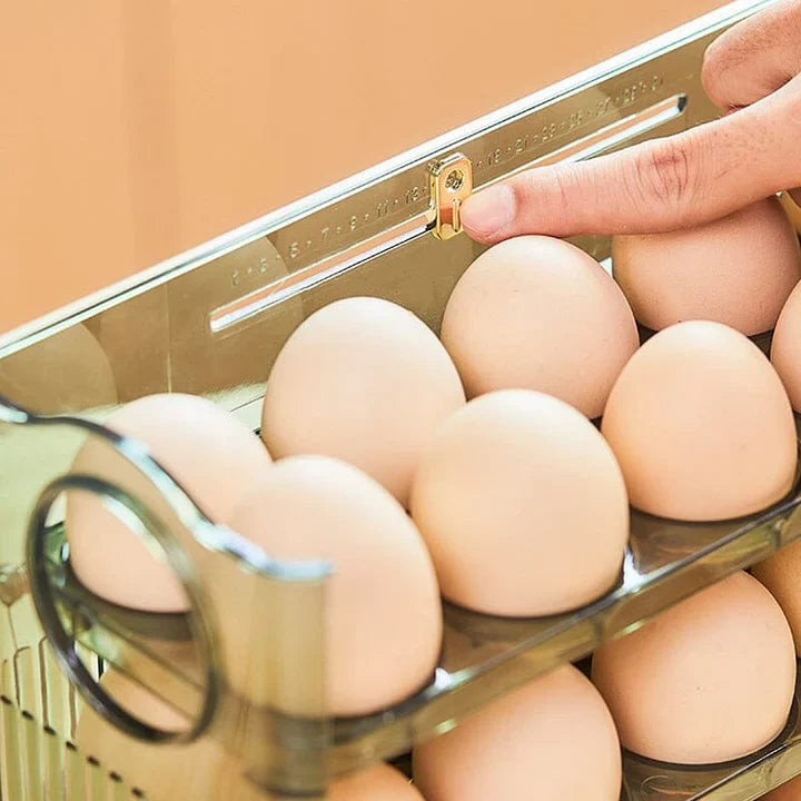 Viskana Practical Egg Organizer