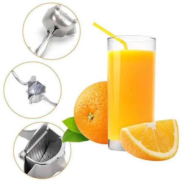 Viskana Juicer in stainless steel Summer