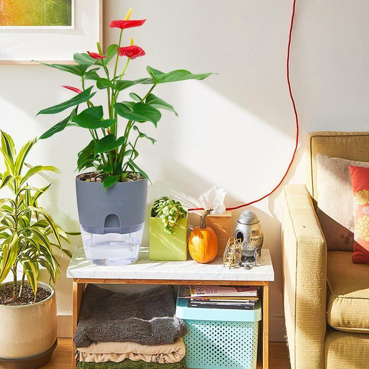 Viskana Self-watering Hydro-Flower Pot