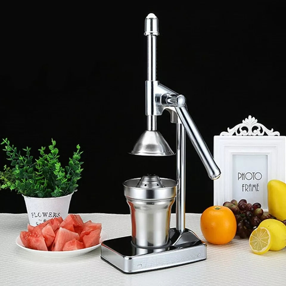 Viskana Stainless Steel Fruit Juicer