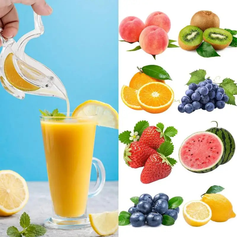 Viskana Acrylic Lemon Squeezer