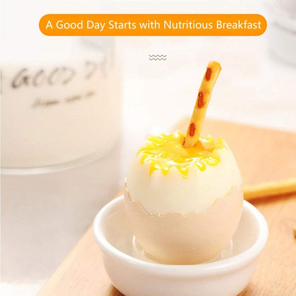 Automatic Electric Fast Egg Cooker Double Egg Boiled Egg Cooker | Viskana