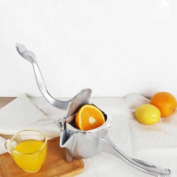Viskana Juicer in stainless steel Summer