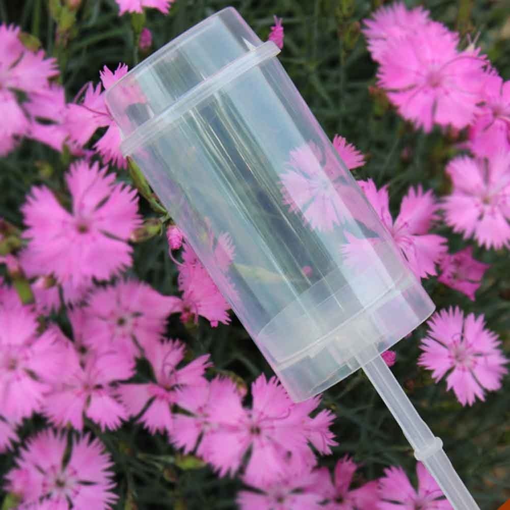 Viskana Cake Container Cupcakes Push Up (50pcs)