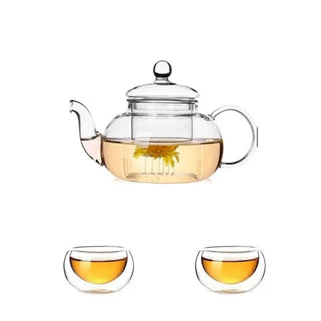 Heat Resistant Glass Tea Pot Glass Teapot with Infuser Tea Pot Set | Viskana
