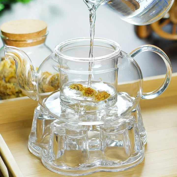 Heat Resistant Glass Tea Pot Glass Teapot with Infuser Tea Pot Set | Viskana