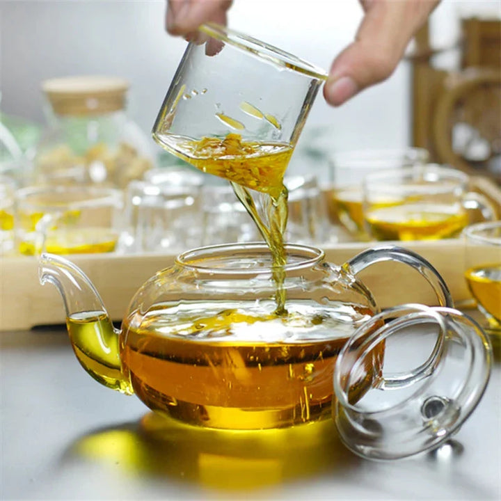 Heat Resistant Glass Tea Pot Glass Teapot with Infuser Tea Pot Set | Viskana