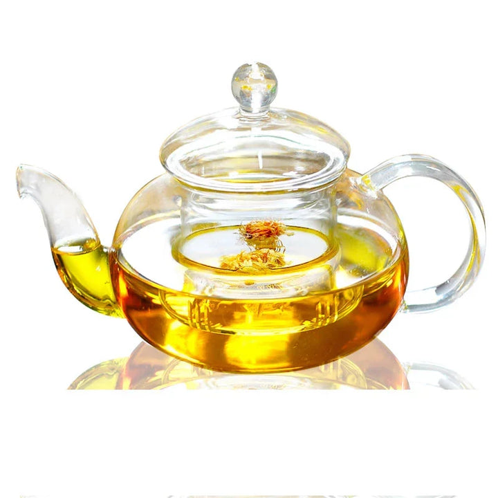 Heat Resistant Glass Tea Pot Glass Teapot with Infuser Tea Pot Set | Viskana