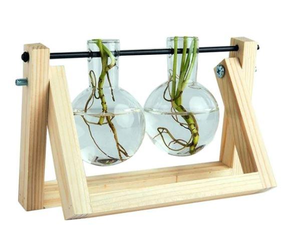Viskana Fauna Plants Cuttings Pots | Grow your own plants at home