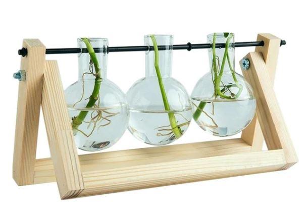 Viskana Fauna Plants Cuttings Pots | Grow your own plants at home